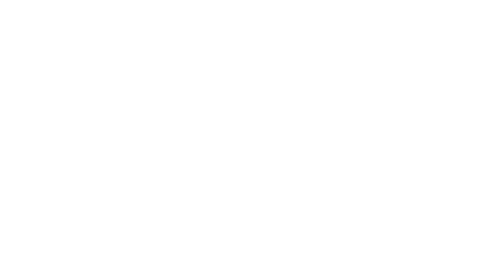 Flynn Group Logo 2